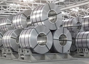 China’s Tinplate Exports See Sharp Divergence Across Markets in Early 2025